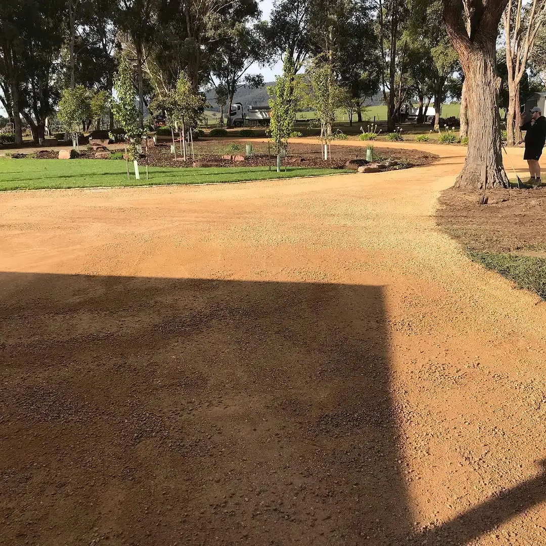 Wide gold gravel driveway sweeping around a lawn island at Coldstream, with a large gum tree on the right